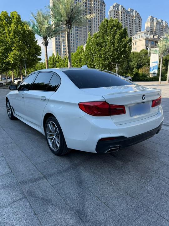 5 Series 2019 525Li M Sport Package photo 4
