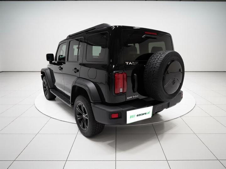300 2021 Off-road 2.0T Conqueror photo 4