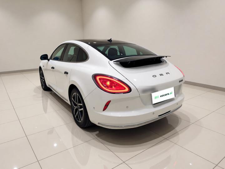 2024 555km Premium photo 4
