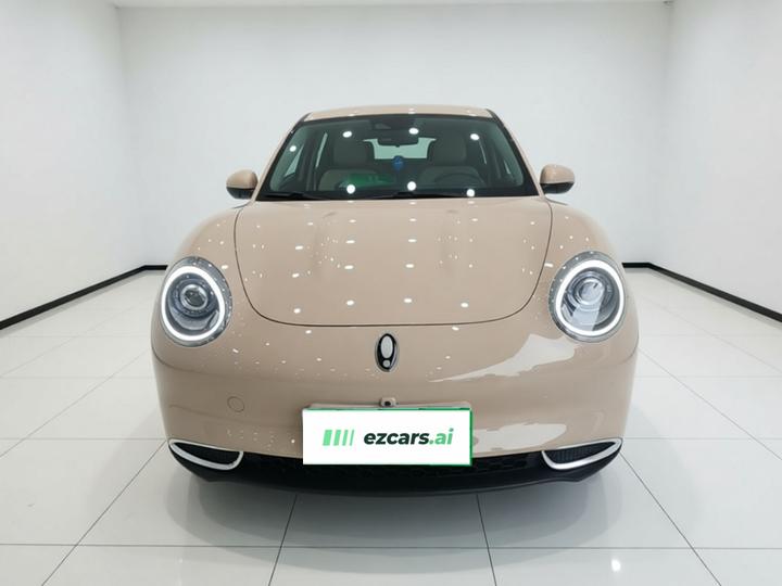 Good Cat 2023 401km Standard Range Premium LFP photo 2