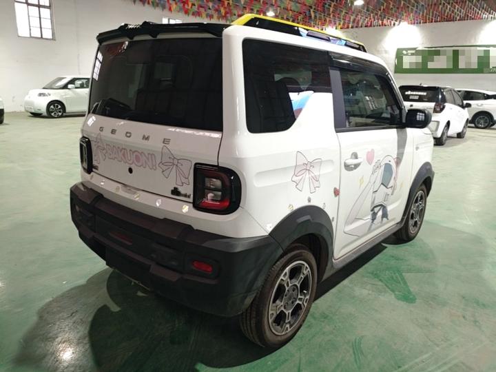 2024 200km Panda photo 4