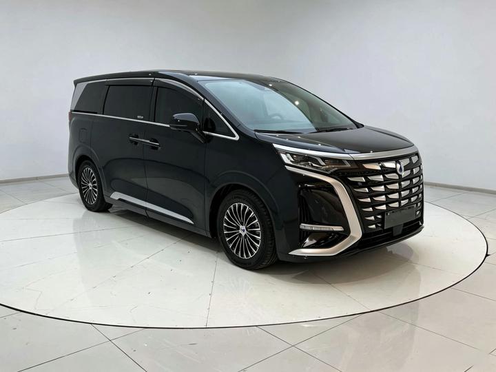 D9 2024 DM-i 980 AWD Noble photo 6