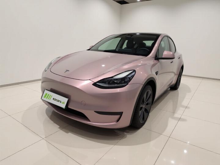 Model Y 2021 Standard Range RWD