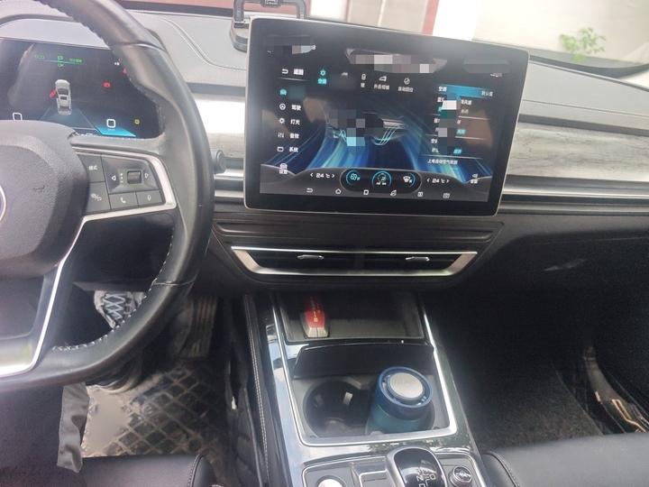 Qin Pro EV 2019 EV Connected photo 5