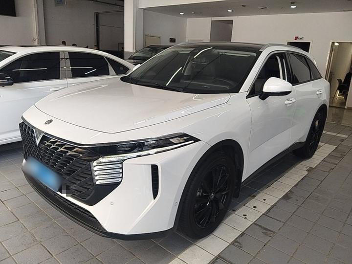V 2021 260T