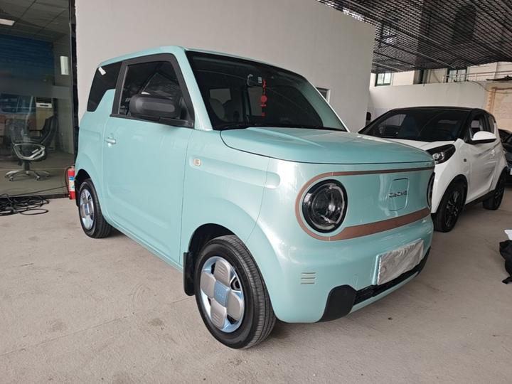 2023 Panda mini 200km Endurance Bear photo 3