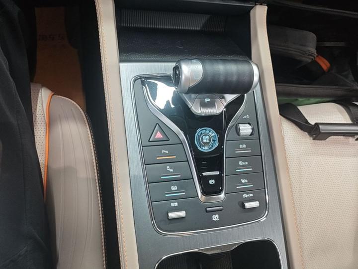Yuan PLUS 2024 Honor 510KM photo 5