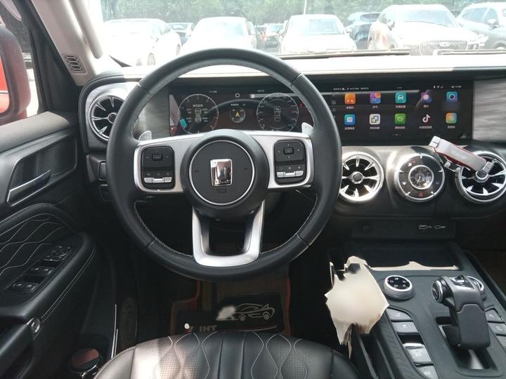 300 2021 Off-road 2.0T photo 3
