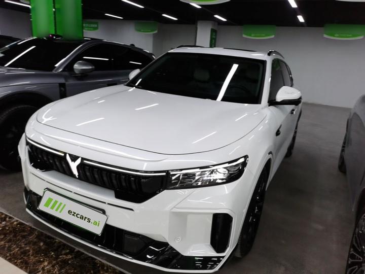 Voyah FREE 2025 318 318km RWD