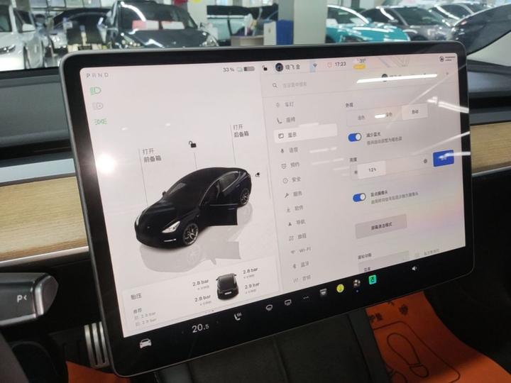 Model 3 2022 Performance AWD photo 8