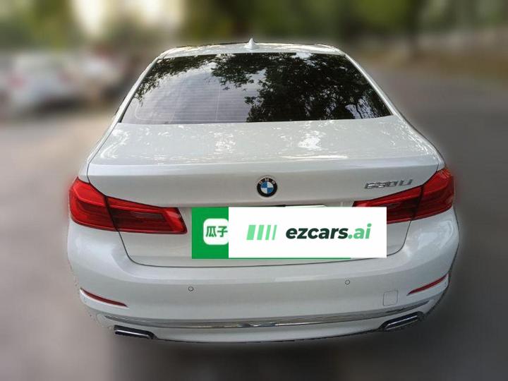 5 Series 2020 530Li Leading Luxury photo 2