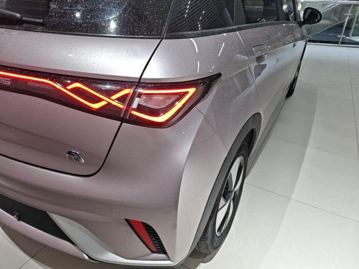 Dolphin 2023 420km Fashion photo 7