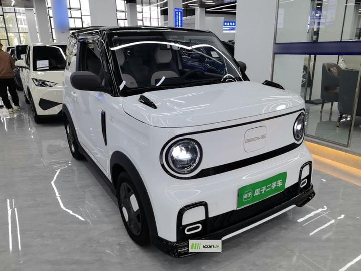 2025 210km Panda photo 3