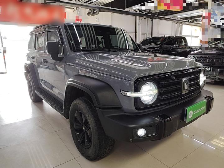 300 2021 Off-road 2.0T Conqueror photo 3