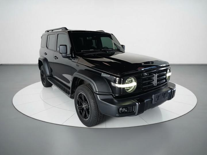 300 2021 Off-road 2.0T Conqueror photo 3