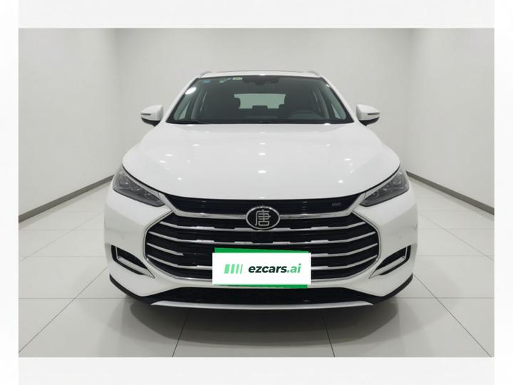 Tang 2018 2.0T AT Connected Premium 7-Seater China V photo 2