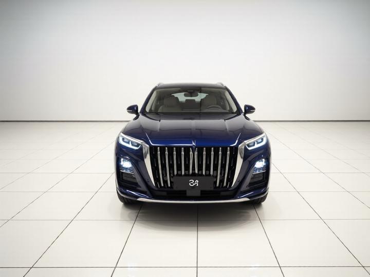 HS3 PHEV 2025 117km photo 3