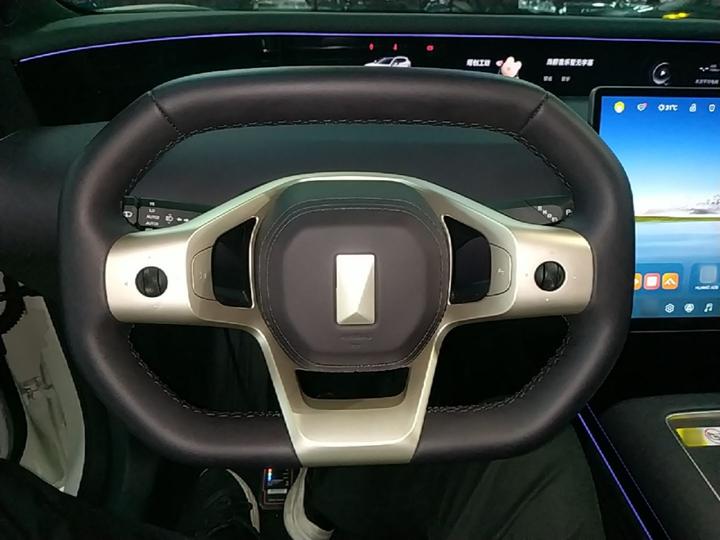 07L 2027 Max+ EV photo 6