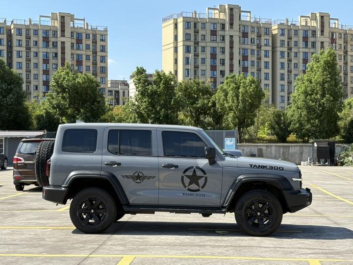 300 2023 Off-road 2.0T photo 2