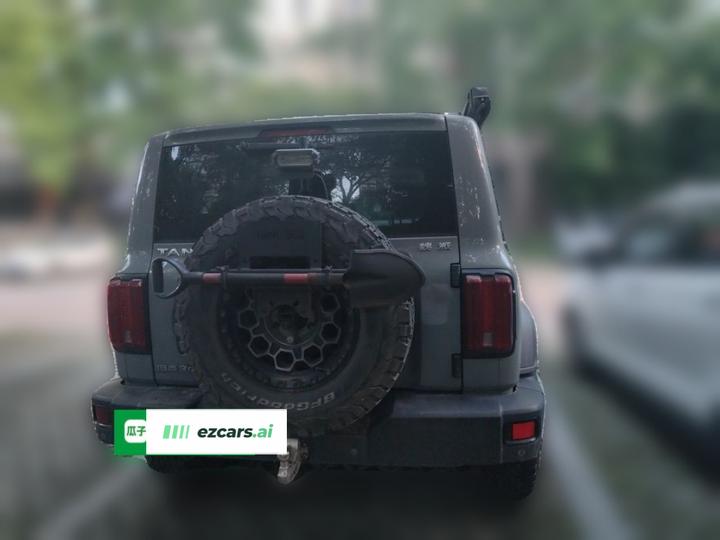 300 2021 Off-road 2.0T photo 5