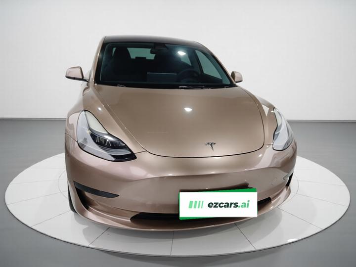 Model 3 2022 RWD photo 2