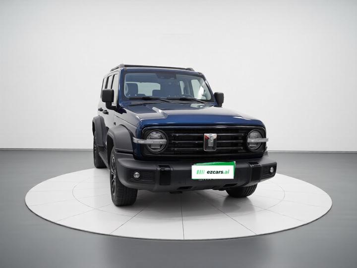 300 2023 Off-road 2.0T photo 3
