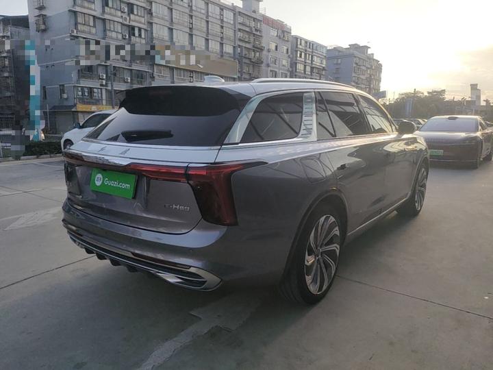 E-HS9 2021 510km 4-Seater photo 6