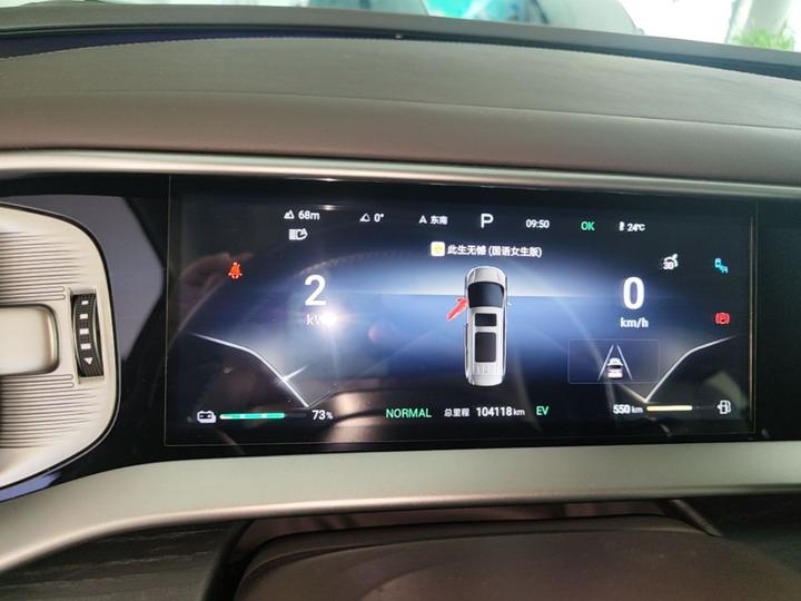 D9 2024 DM-i 980 AWD Noble photo 7