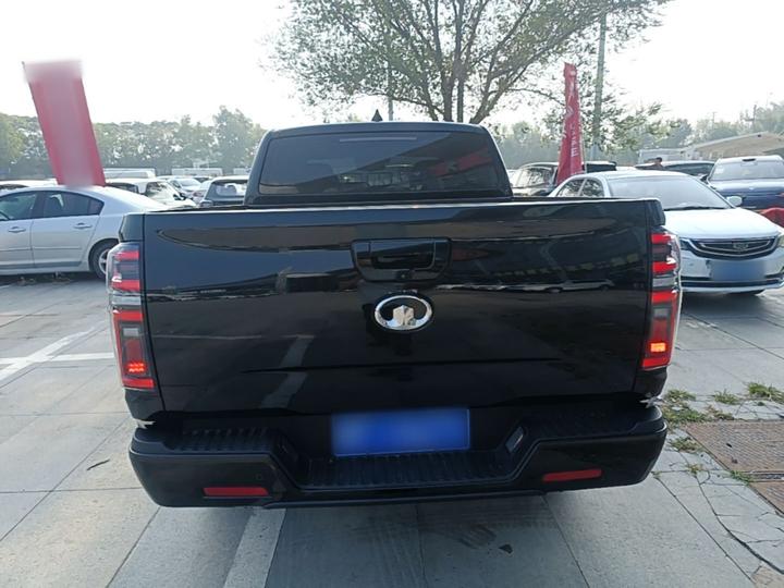 2021 2.0T AT Petrol AWD Comfort GW4C20B photo 3