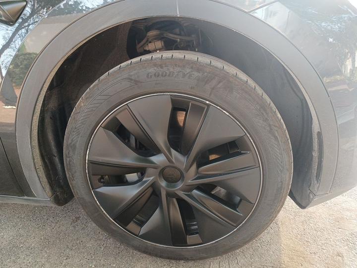Model Y 2024 RWD photo 8