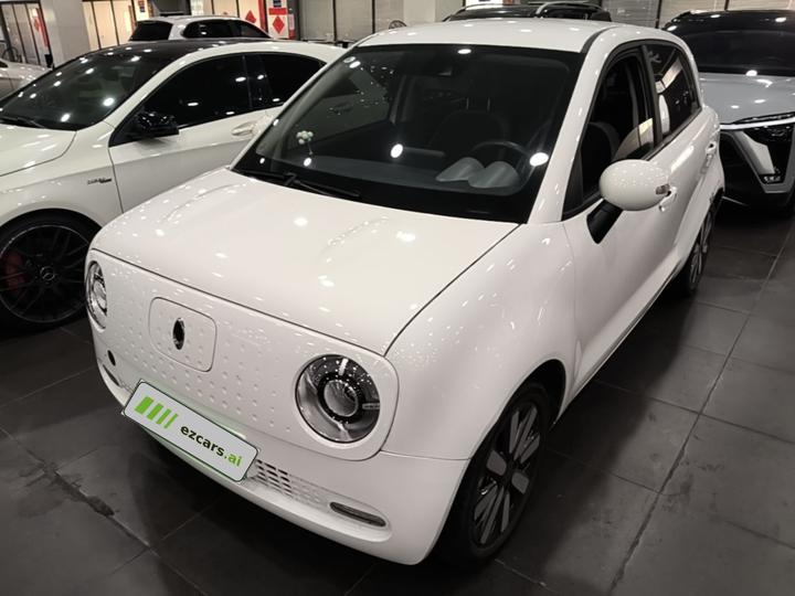 2021 351km Luxury