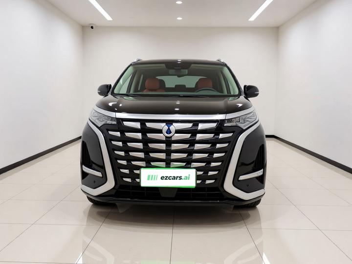 D9 2022 DM-i 970 AWD Noble photo 2
