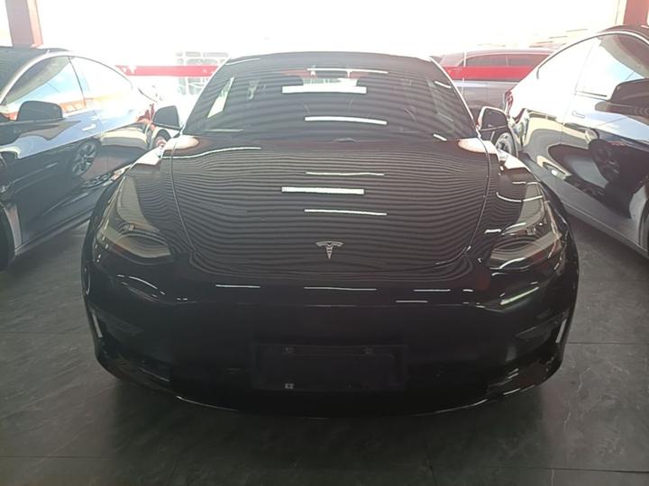 Model 3 Imported 2019 Performance AWD photo 2