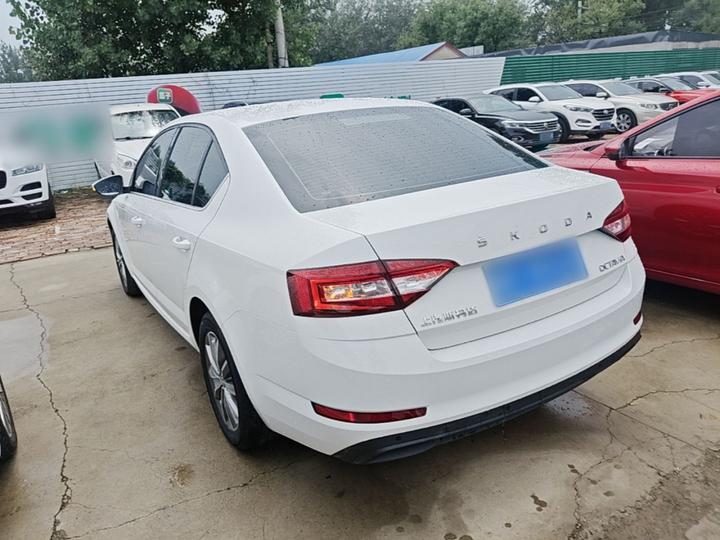 Octavia 2022 1.5L AT Comfort photo 4