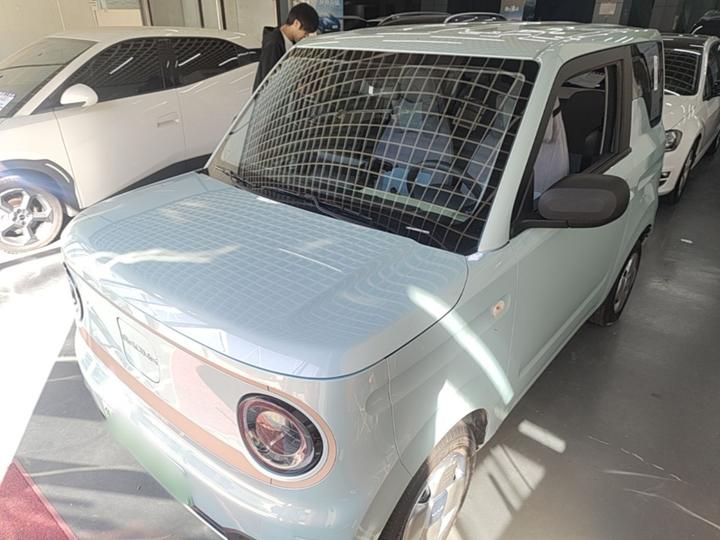 2023 Panda mini 200km Endurance Bear