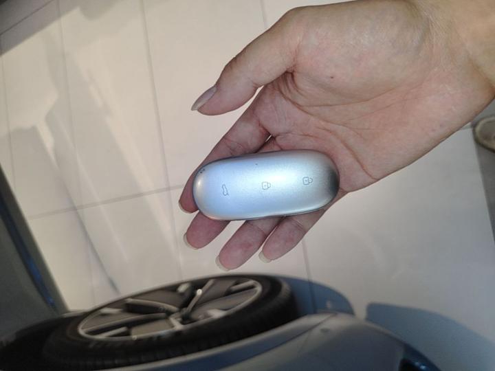 Li L8 2025 Max Smart Refresh Edition photo 8