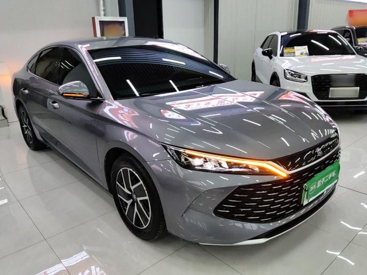 Qin L 2024 DM-i 80KM photo 3