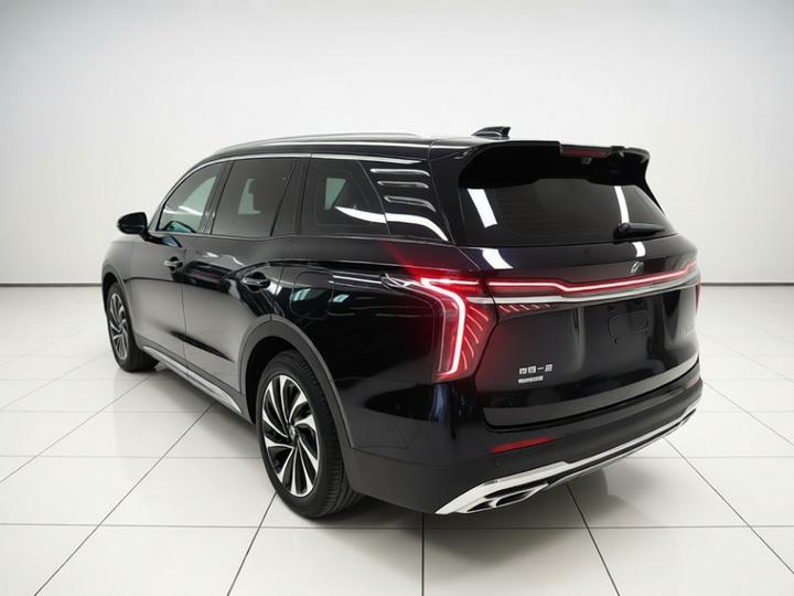 HS7 PHEV 2024 2.0T PHEV AWD 6-Seater photo 4