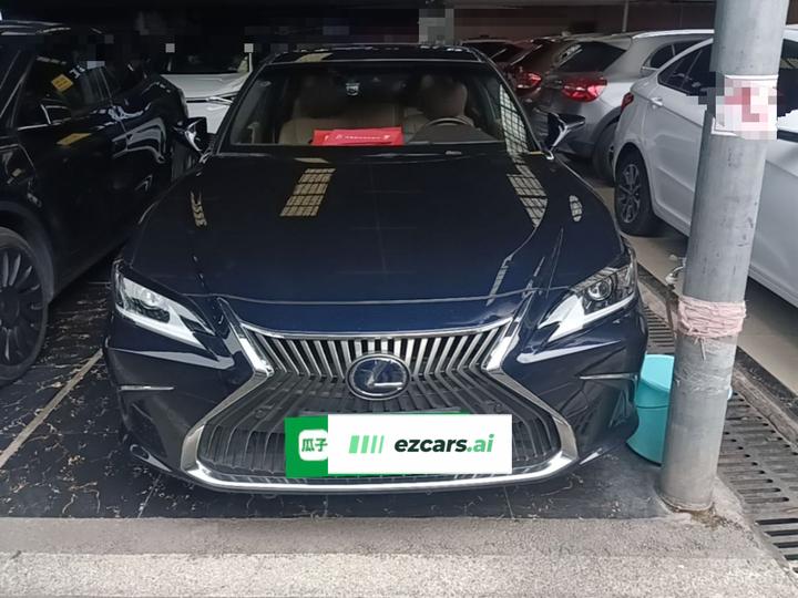 ES 2020 300h Excellence photo 2