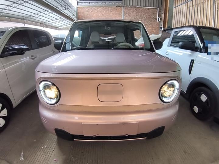 2023 Panda mini 200km Endurance Bear photo 2