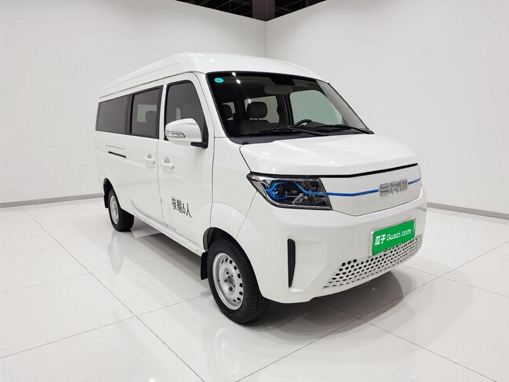 SRM Shineray 2025 42.3kWh 305km 6-Seater photo 3