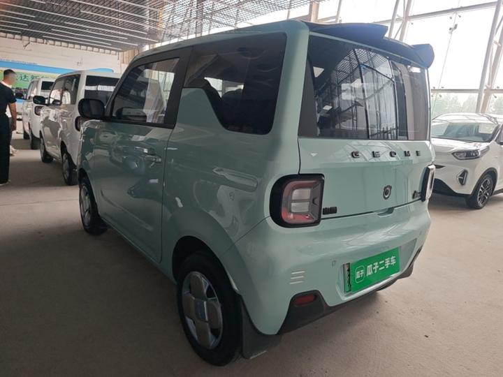 2023 Panda mini 200km Endurance Bear photo 4
