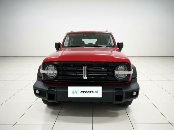 300 2021 Off-road 2.0T Conqueror photo 2