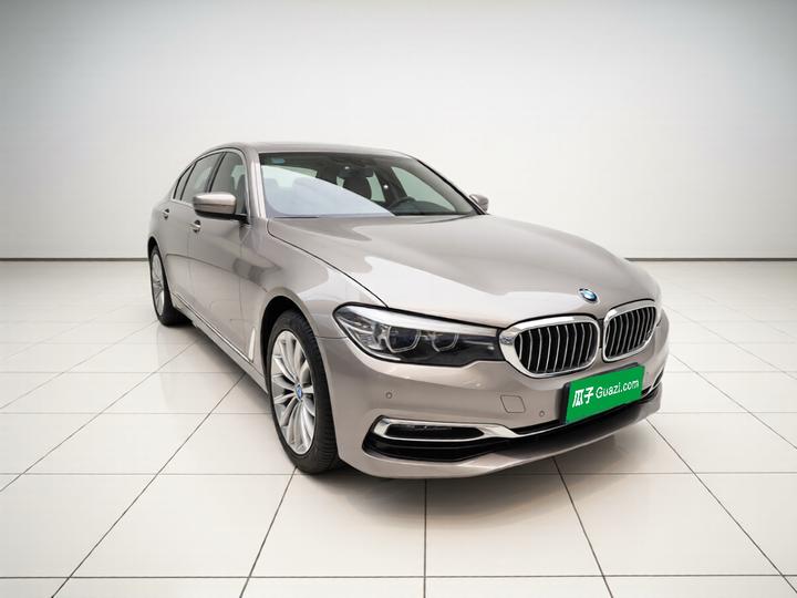 5 Series 2019 530Li Leading Luxury photo 3
