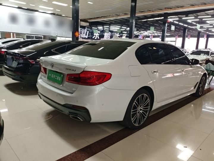 5 Series 2018 530Li Leading M Sport Package photo 6