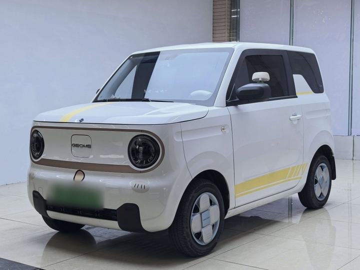 2024 Panda mini 200km Endurance Bear