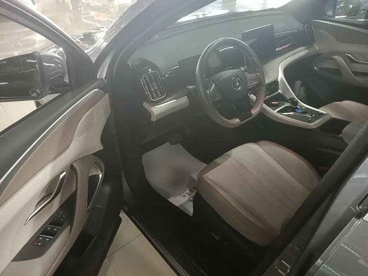 Song Pro EV 2024 Honor DM-i 71KM Pilot photo 5