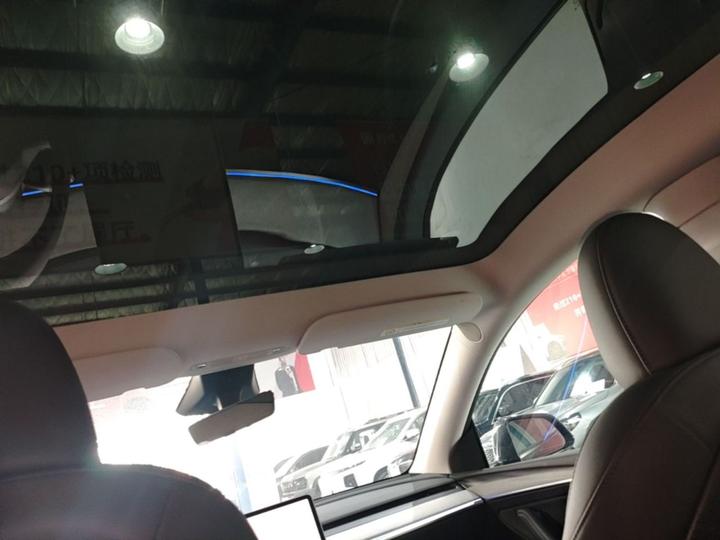 Model Y 2024 RWD photo 7