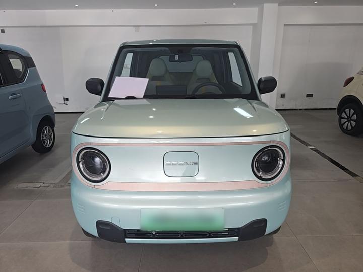 2023 Panda mini photo 2