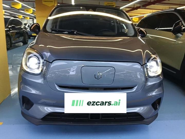 Leapmotor T03 2020 400 Luxury photo 2